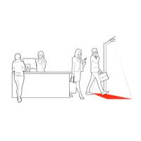 Cognimatics TrueView Random Inspection