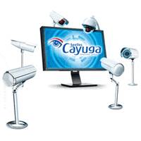 Qognify Cayuga S50X Licentie incl.1 jaar SMA
