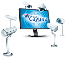 Qognify Cayuga S50X Licentie incl.1 jaar SMA