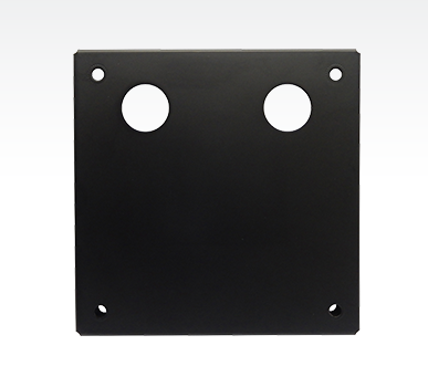 EIZO Vesamp100
